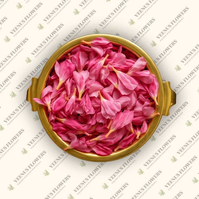 Arali Flower