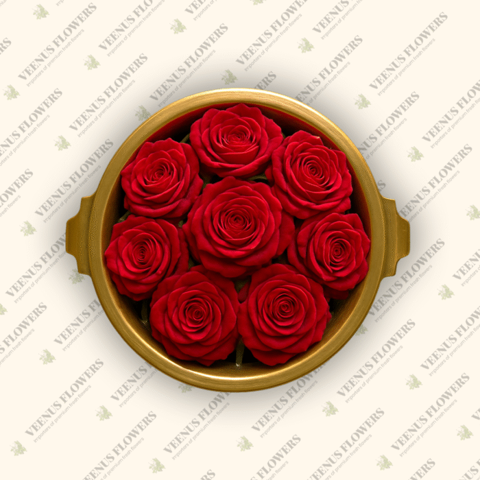 Red Button Rose