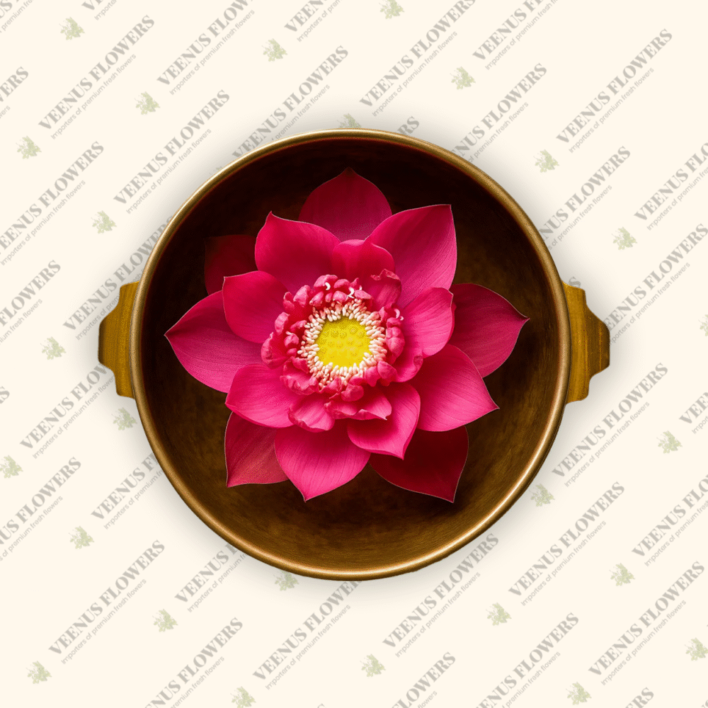 Red Lotus