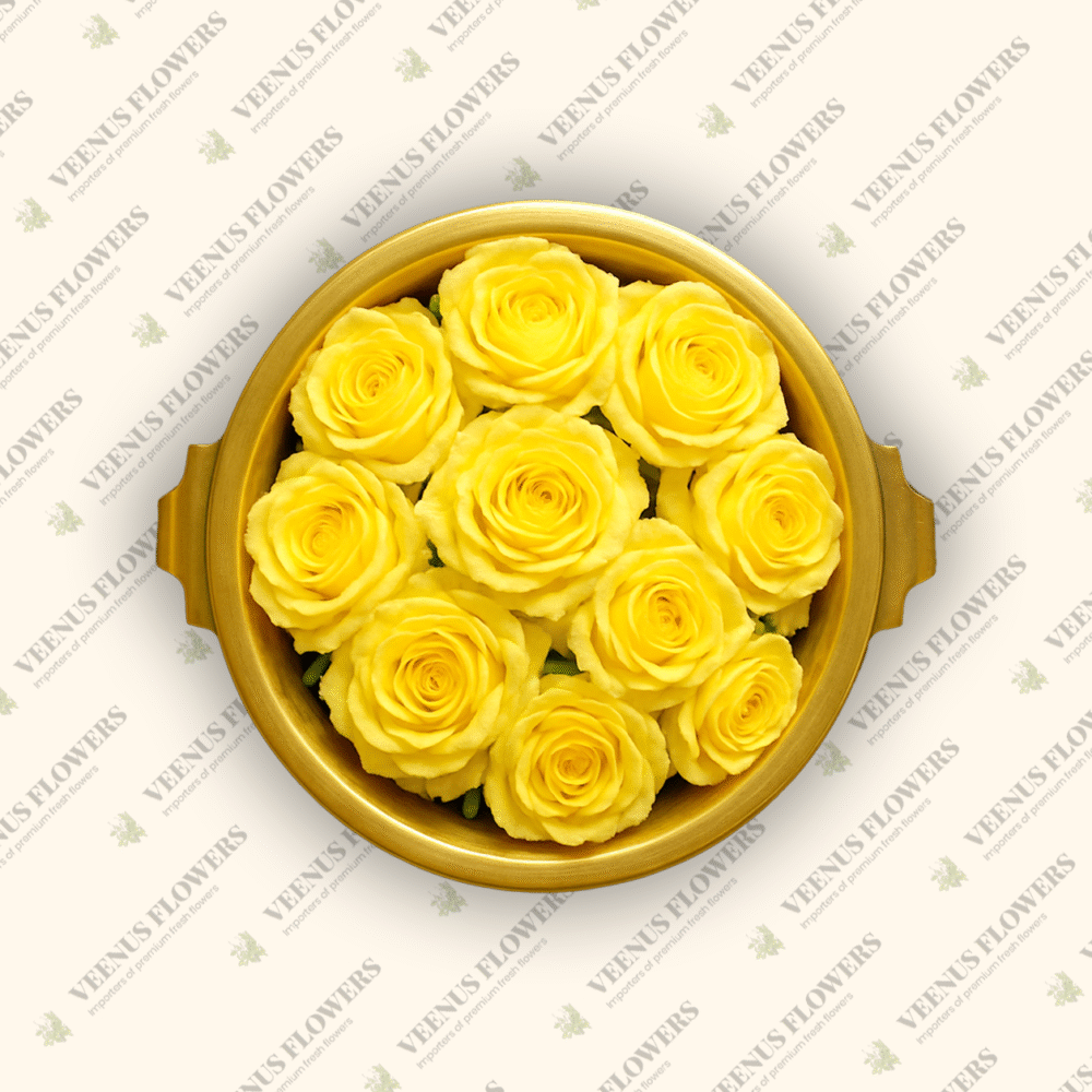 Yellow Button Rose