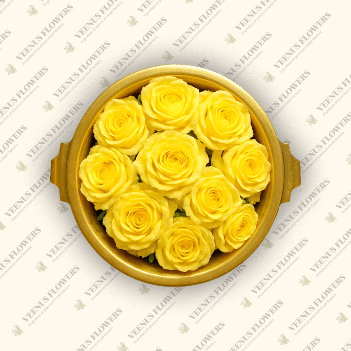 Yellow Button Rose
