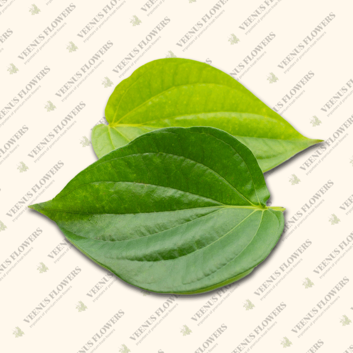 betel leaf