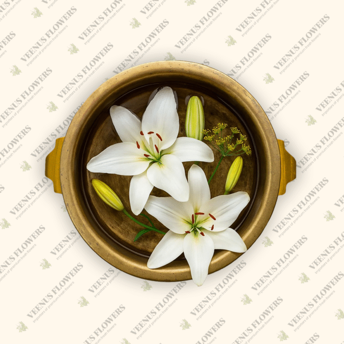 Lily