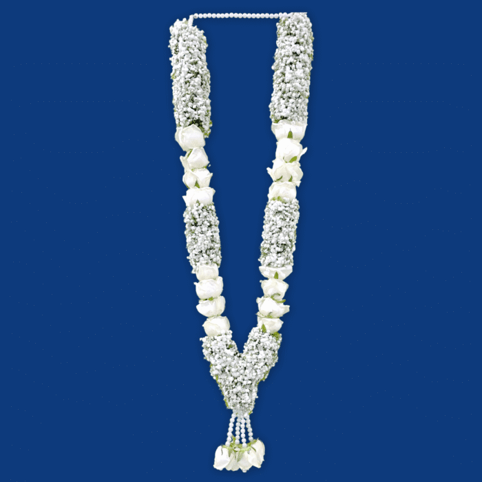 C_2<br><span class="pd_title">Call 732-986-8768 for price</span>