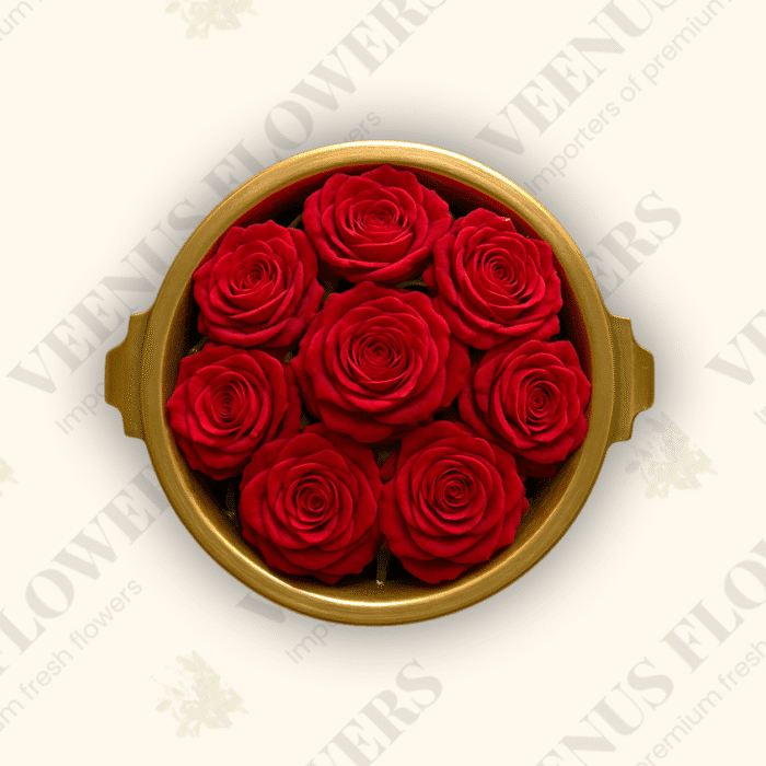 Red Button Rose